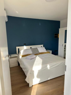 Blue Suite